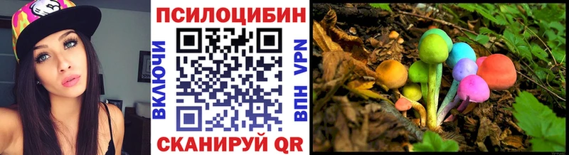 Псилоцибиновые грибы мицелий  Купить  Сортавала 
